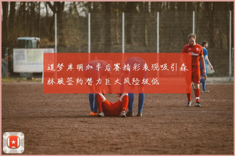 追梦库明加季后赛精彩表现吸引森林狼签约潜力巨大风险极低